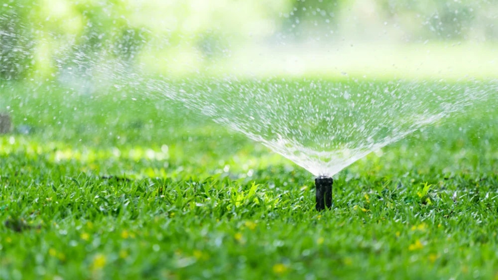 A sprinkler watering a green lawn.