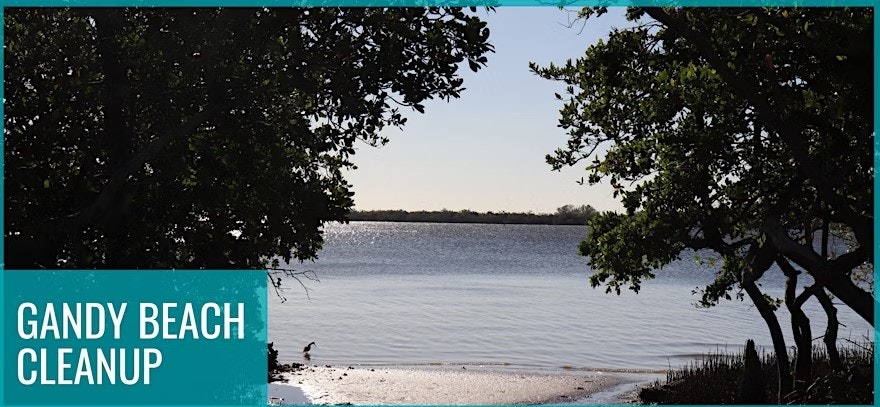 View of a tranquil beach with trees framing the water; text reads "Gandy Beach Cleanup."