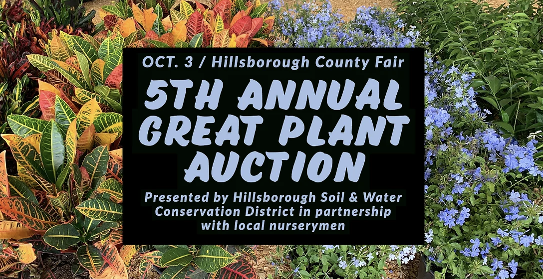 May contain: herbal, herbs, plant, vegetation, leaf, flower, business card, paper, text, and outdoors