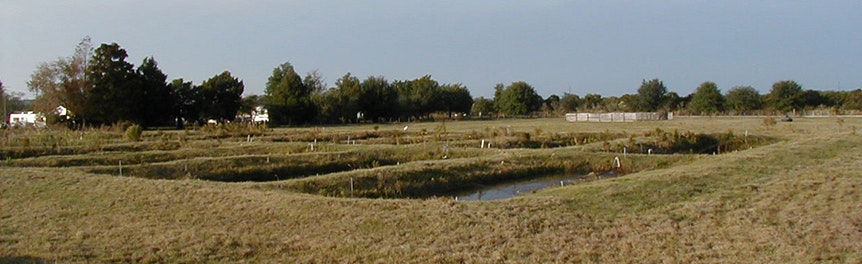 A landscape with grassy fields, trees, a small pond, and distant buildings under a clear sky.