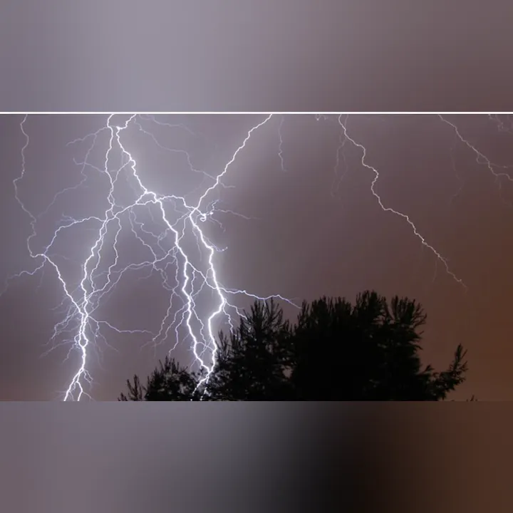 Dramatic scene of multiple lightning bolts illuminating the night sky above silhouetted trees.