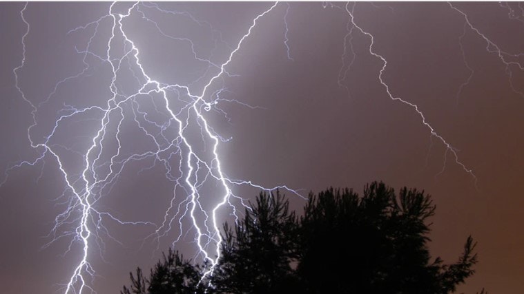 Dramatic scene of multiple lightning bolts illuminating the night sky above silhouetted trees.