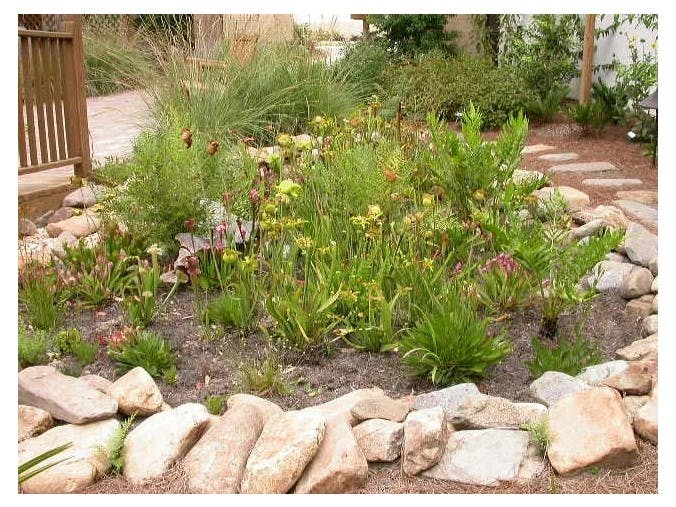 A garden with green plants, flowers, and surrounded by rocks, with a wooden structure to the left.