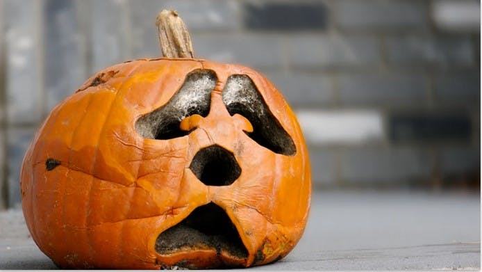 A wilted jack-o'-lantern on a ground, post-Halloween vibe.