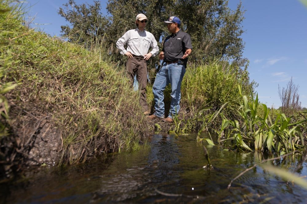 Two people standing by a small stream, surrounded by greenery and trees, under a clear blue sky.