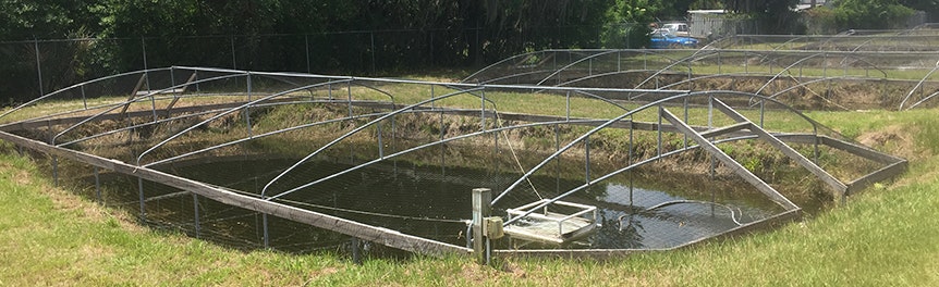 A fenced aquatic pond with metal frames, pipes, grass surrounding, and trees in the background.
