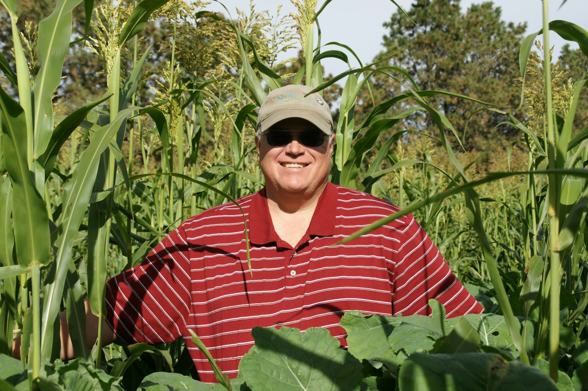 A person in a red striped shirt, wearing sunglasses and a cap, stands in a cornfield.