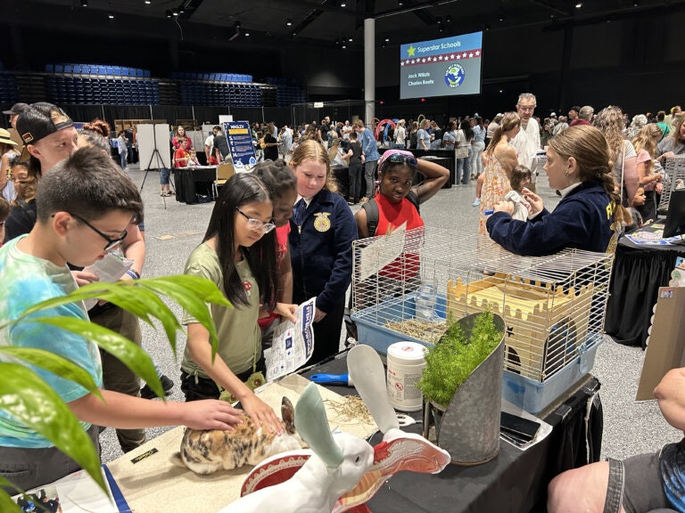 People at a science fair-like event, engaging with displays featuring animals, including a rabbit in front of a cage.
