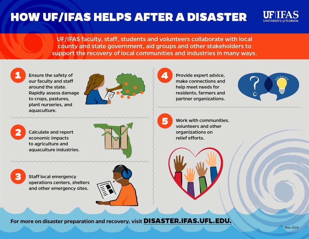 An infographic describing five ways UF/IFAS supports communities after disasters, including safety assessments, economic reports, and relief efforts.