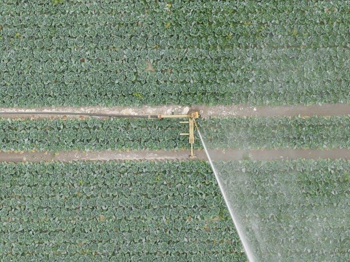 Irrigation system watering crops, top-down aerial view.