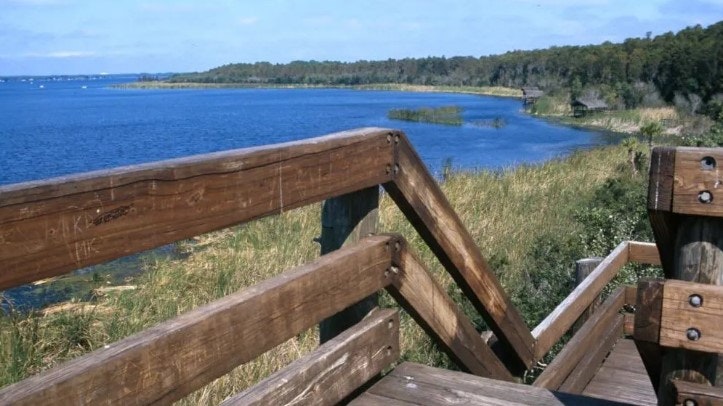 A wooden boardwalk overlooking a serene lake with grassy banks and a distant tree line under a blue sky.
