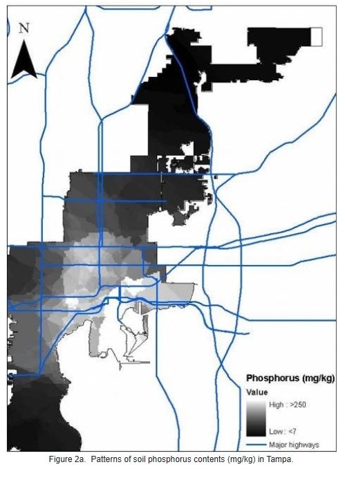 Map showing soil phosphorus content in Tampa with high (dark) and low (light) levels, overlaid with major highways (blue lines).