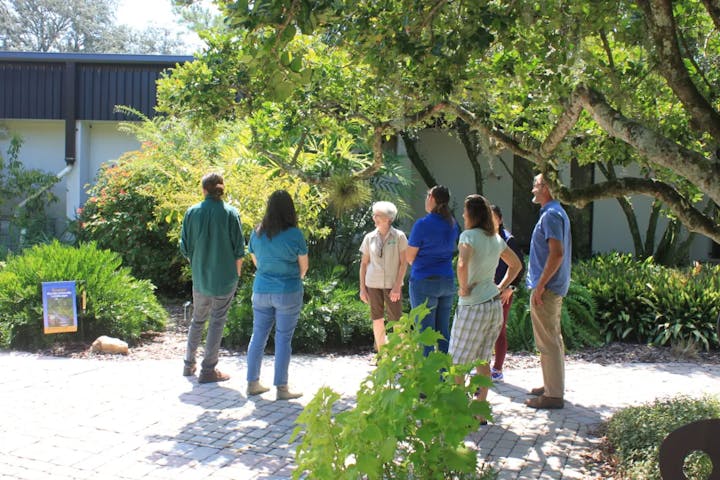 A group of people outdoors engaged in a conversation, surrounded by lush greenery and a sunny environment.