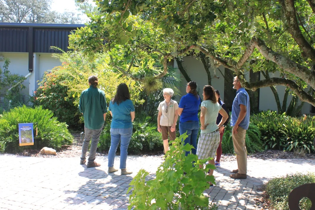 A group of people outdoors engaged in a conversation, surrounded by lush greenery and a sunny environment.