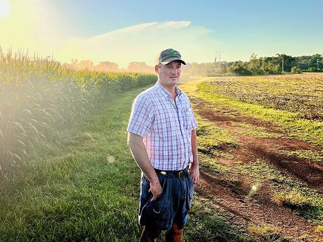 A person in a plaid shirt and cap stands in a sunny field with corn and a dirt path.