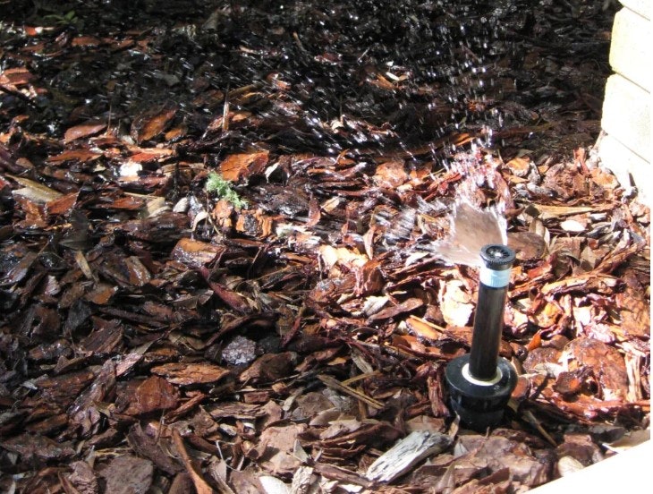 A garden sprinkler watering brown mulch in a garden bed.