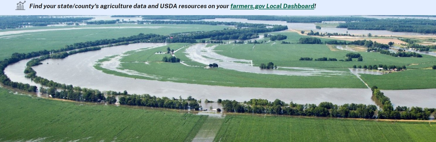 Flooded agricultural fields with water covering large areas, trees lining the fields, and a few scattered structures.