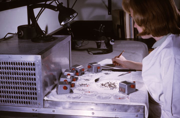 Person in lab coat analyzing samples with timers, a microscope, and lab equipment.