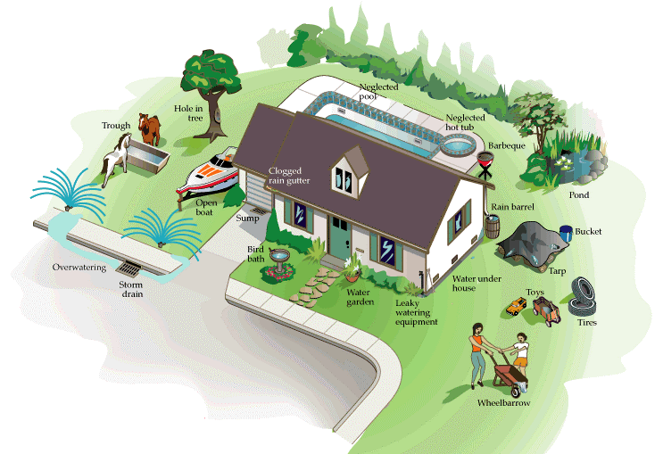 Illustration of a home with potential mosquito breeding sites labeled, like a clogged rain gutter and neglected pool.