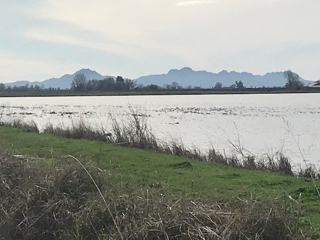 River with grassy banks, distant mountains, under a cloudy sky.