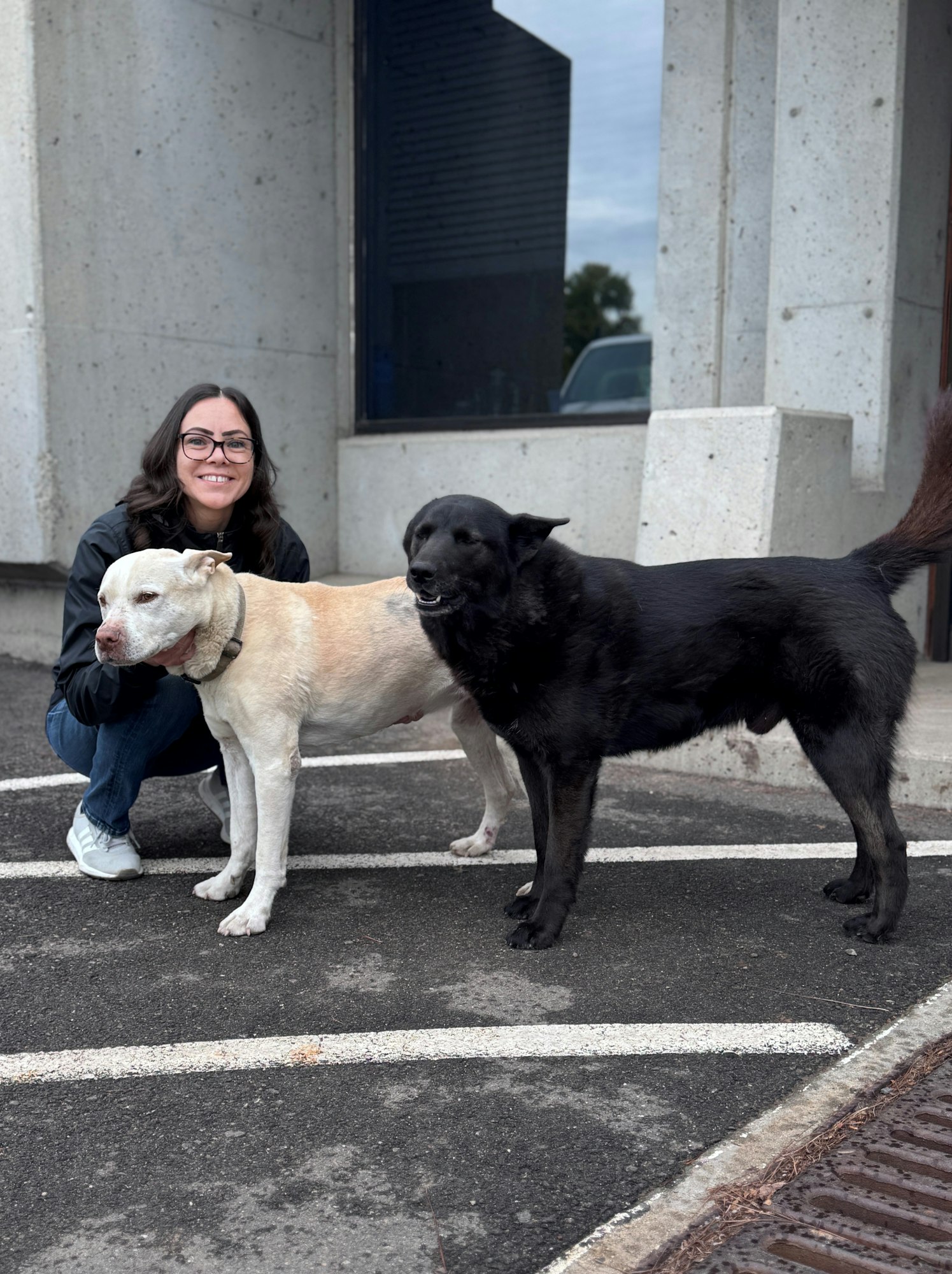 A woman is smiling while kneeling next to two dogs, one black and one light-colored, in a parking area.