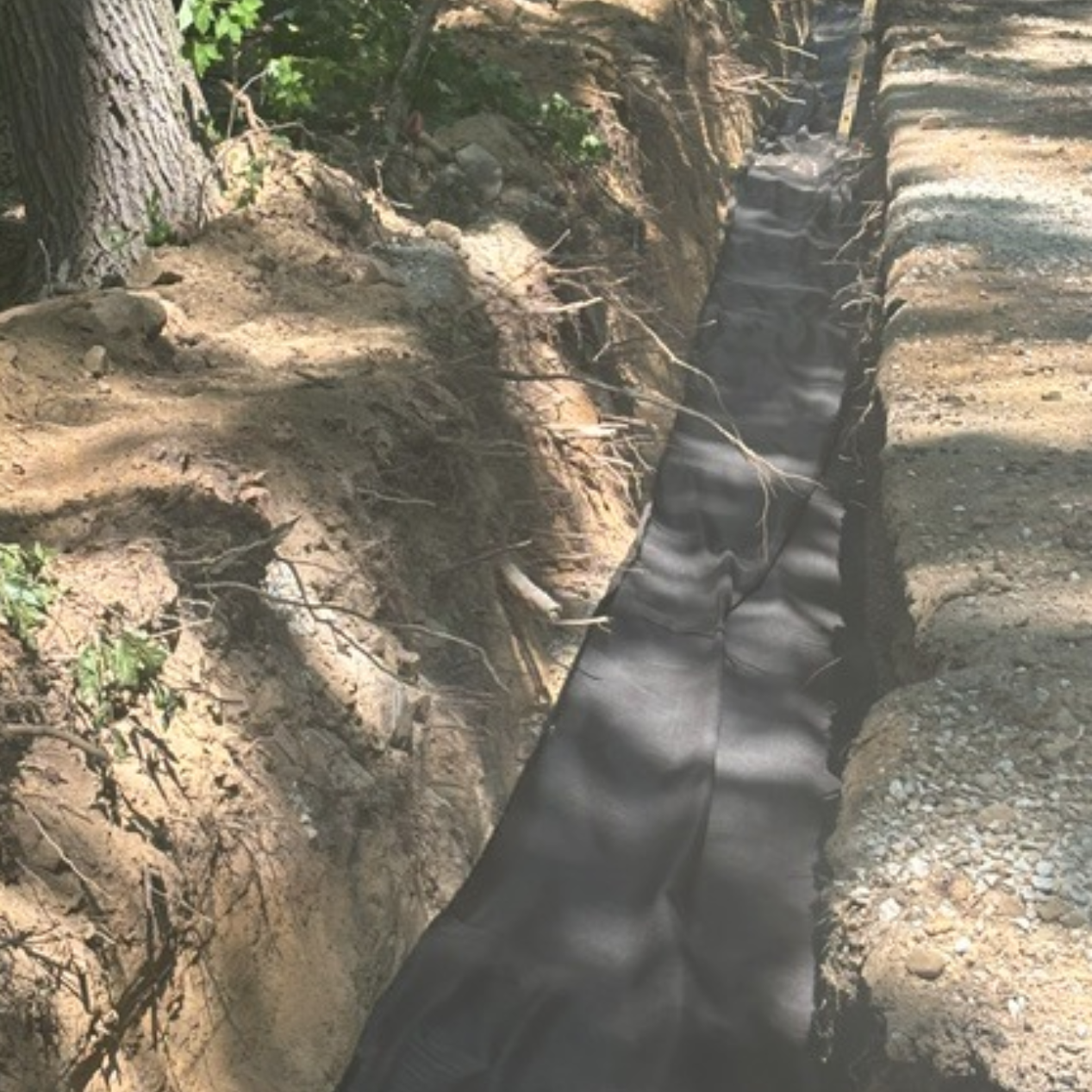 The image shows a trench lined with black fabric, surrounded by soil and tree roots, likely for drainage or utility installation.