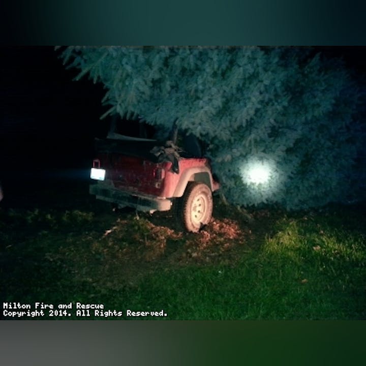 Photo of a vehicle under a tree