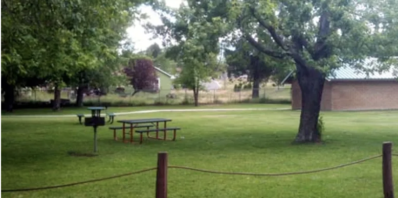 May contain: grass, plant, bench, furniture, outdoors, park, lawn, yard, nature, land, vegetation, woodland, tree, and forest