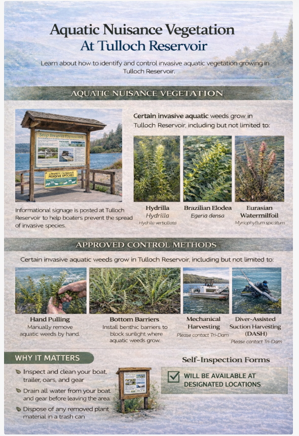 The image outlines invasive aquatic plants at Tulloch Reservoir and methods for control, emphasizing the importance of self-inspection.