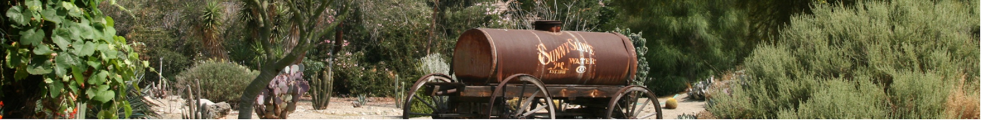 water wagon