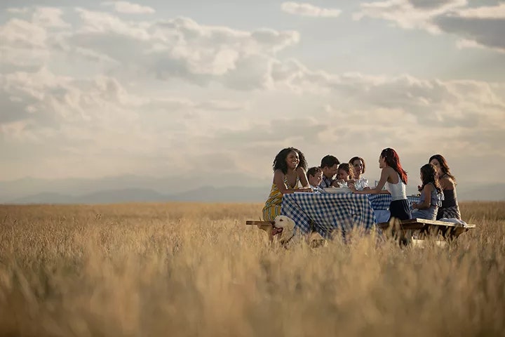 A group of friends enjoying an outdoor meal in a wheat field.