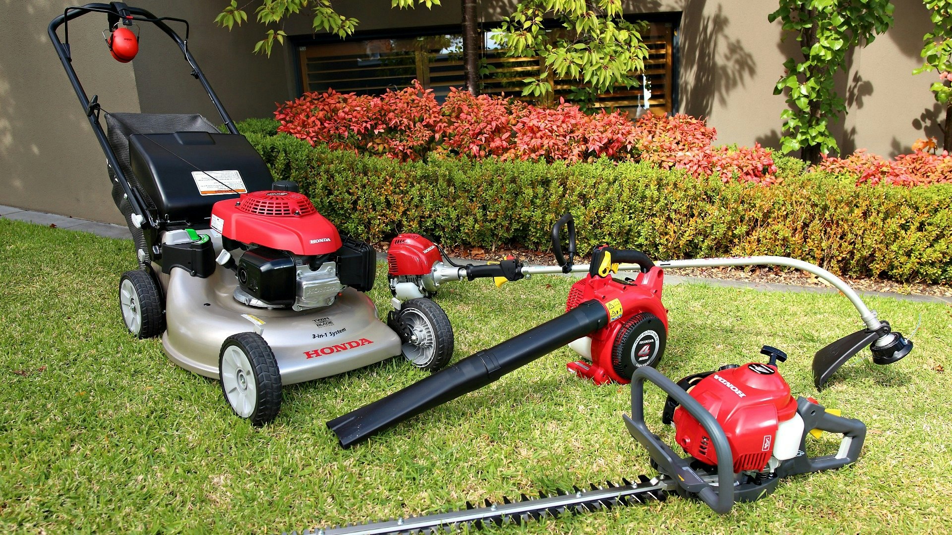 May contain: plant, grass, tool, and lawn mower