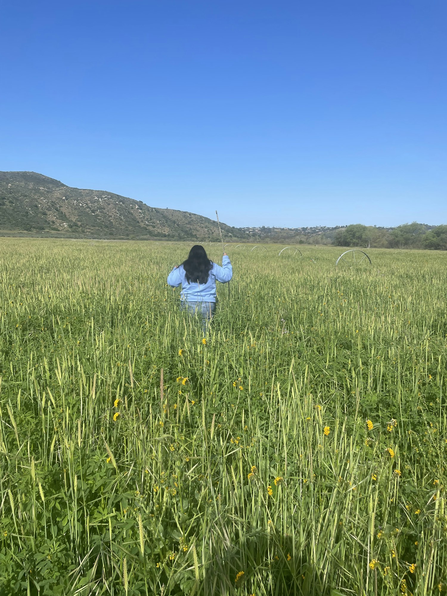 A person stands in a vibrant green field under a blue sky; the photo is rotated 90 degrees.