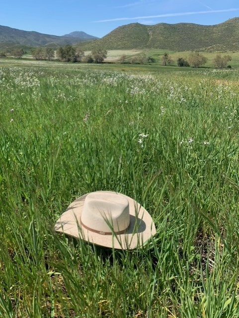 A hat on grass with hills in the distance.