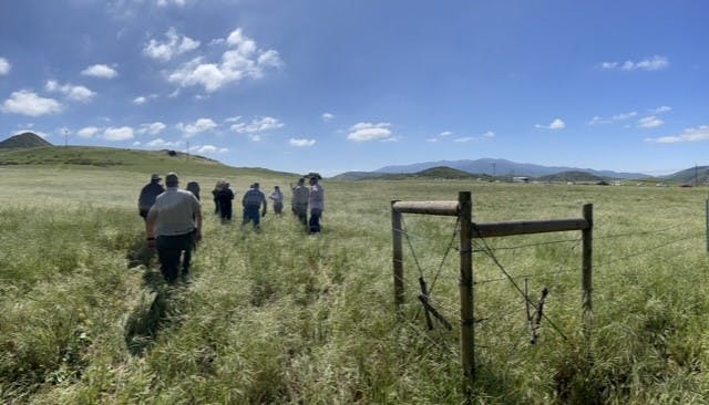 A group of people walking through a grassy field with hills in the background under a blue sky with clouds.