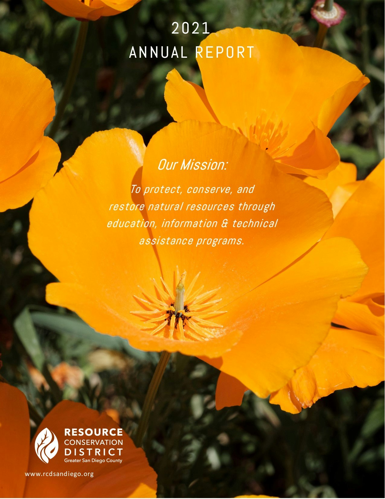 May contain: plant, flower, blossom, and pollen