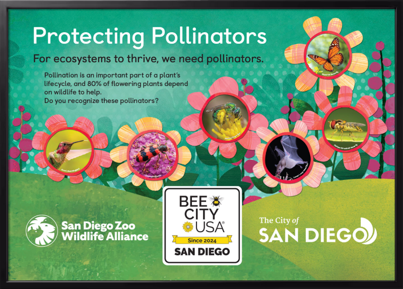 Pollinators are highlighted with flowers and text promoting their importance. Includes San Diego Zoo and Bee City USA logos.