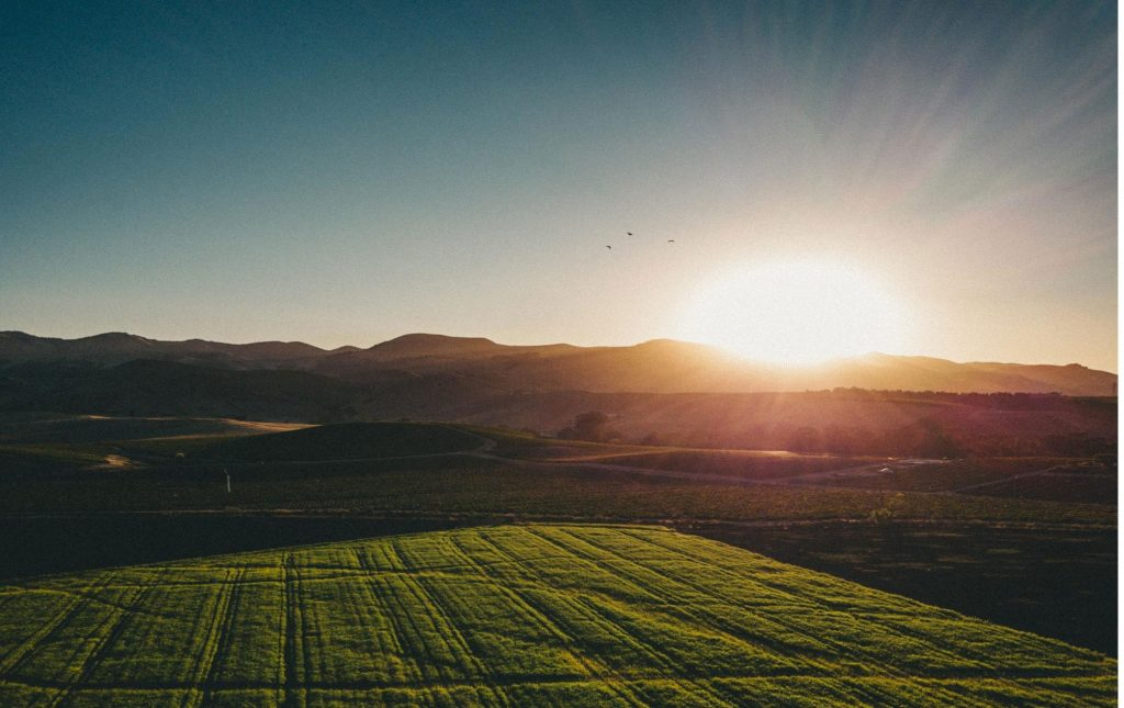 May contain: outdoors, nature, flare, light, field, scenery, and sunlight