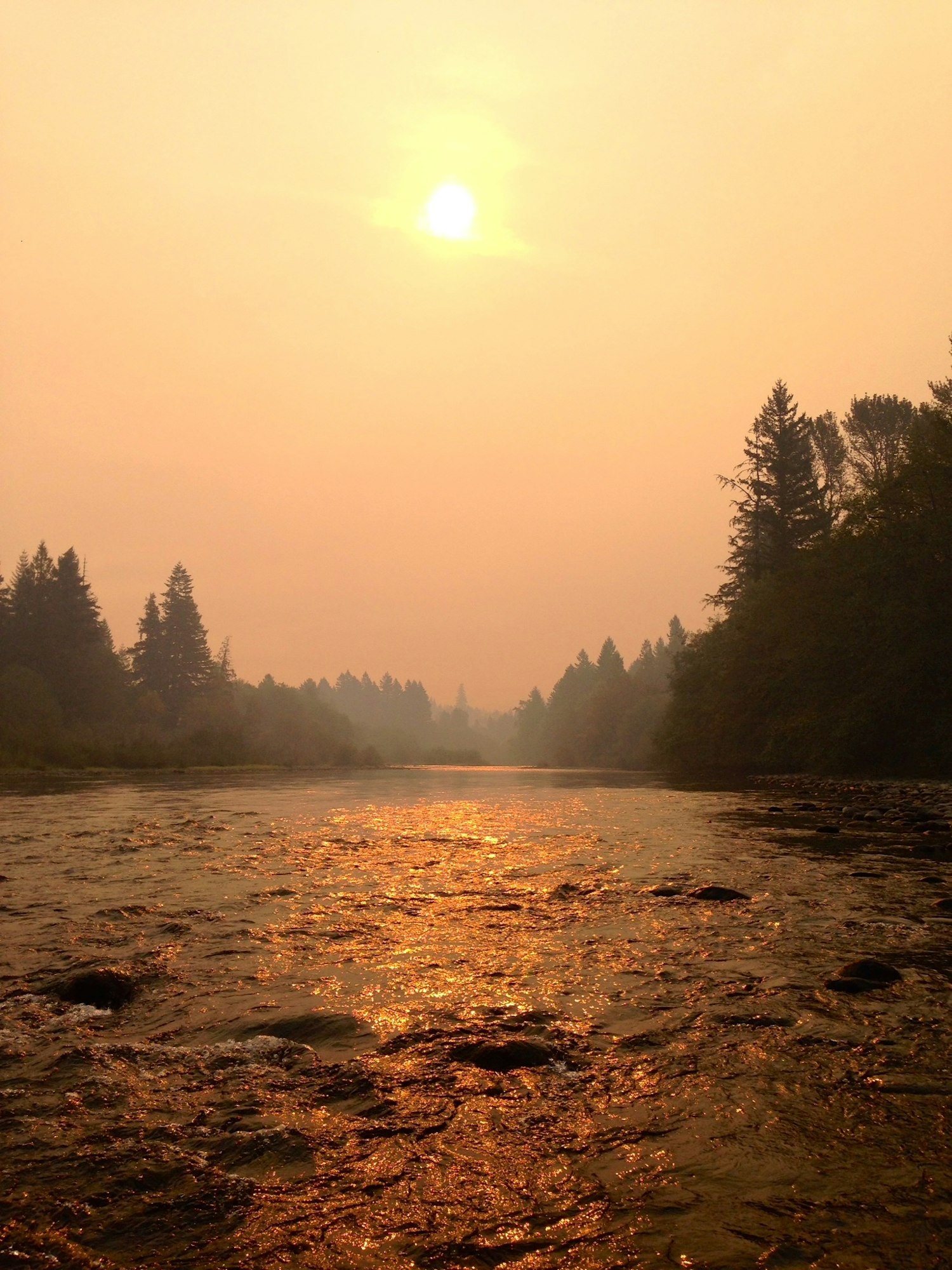 A hazy, smoke-filled sky over a river reflecting the sun, surrounded by trees, possibly from a wildfire.