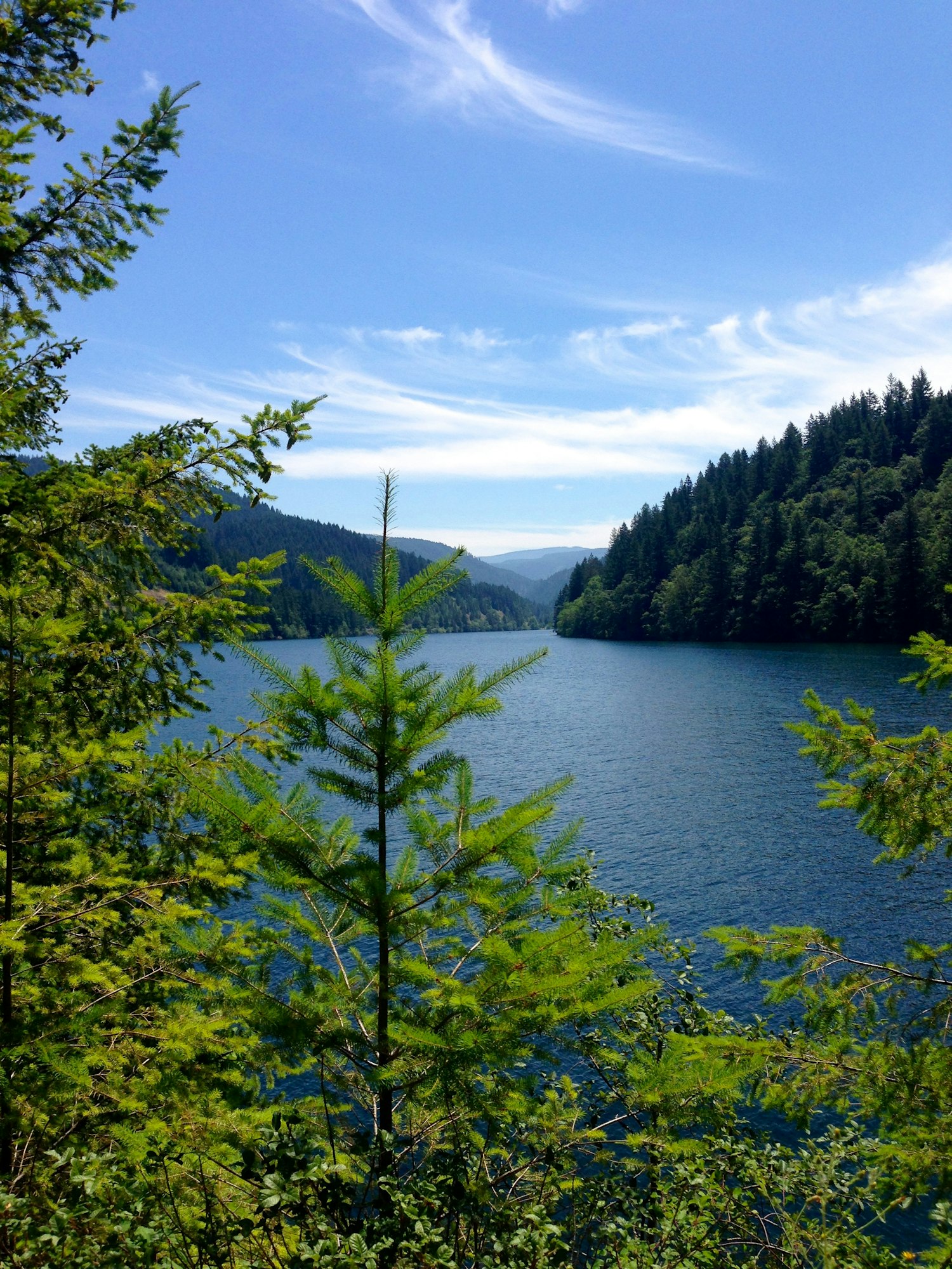 A scenic view of a lake surrounded by forested hills under a blue sky with wispy clouds.