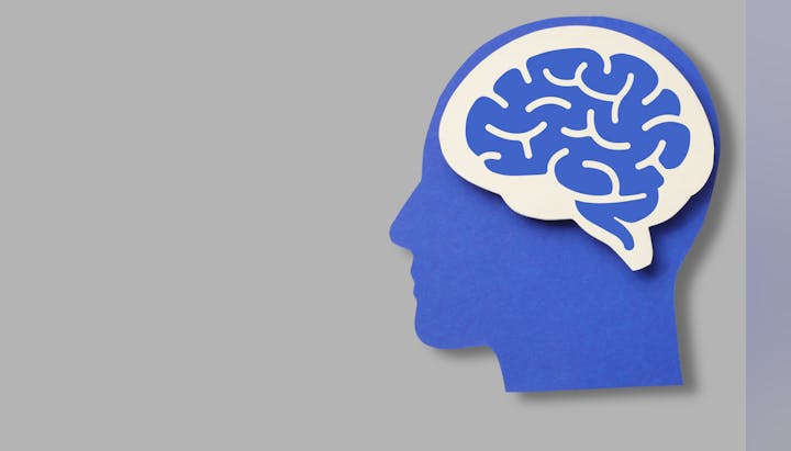 Silhouette of a head with a stylized brain inside, on a gray background.