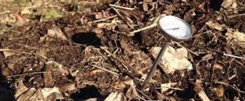 The image shows a soil thermometer inserted into compost or mulch, measuring temperature for optimal decay or growth.