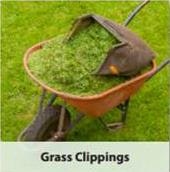 A wheelbarrow filled with grass clippings sits on green grass.