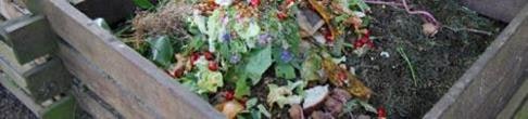 The image shows a compost bin filled with organic waste, including vegetable scraps, leaves, and flowers.