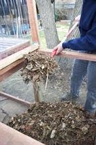 A person is mixing compost materials, using a rake in a wooden compost bin surrounded by trees.