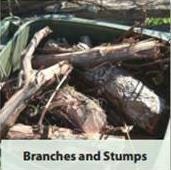 The image shows a collection of branches and stumps piled in a container, likely for yard waste disposal.