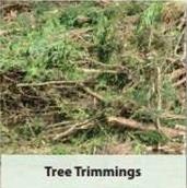 The image shows a pile of tree trimmings with branches and foliage, labeled "Tree Trimmings."