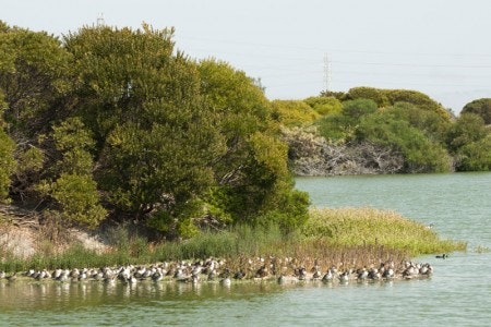 May contain: land, nature, outdoors, plant, vegetation, sea, water, scenery, shoreline, coast, and lake