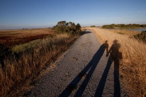 May contain: road, path, gravel, nature, outdoors, scenery, soil, trail, and landscape