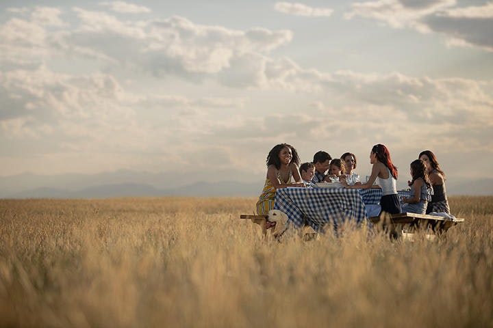 A group of people enjoying a picnic in a grassy field with a cloudy sky above.